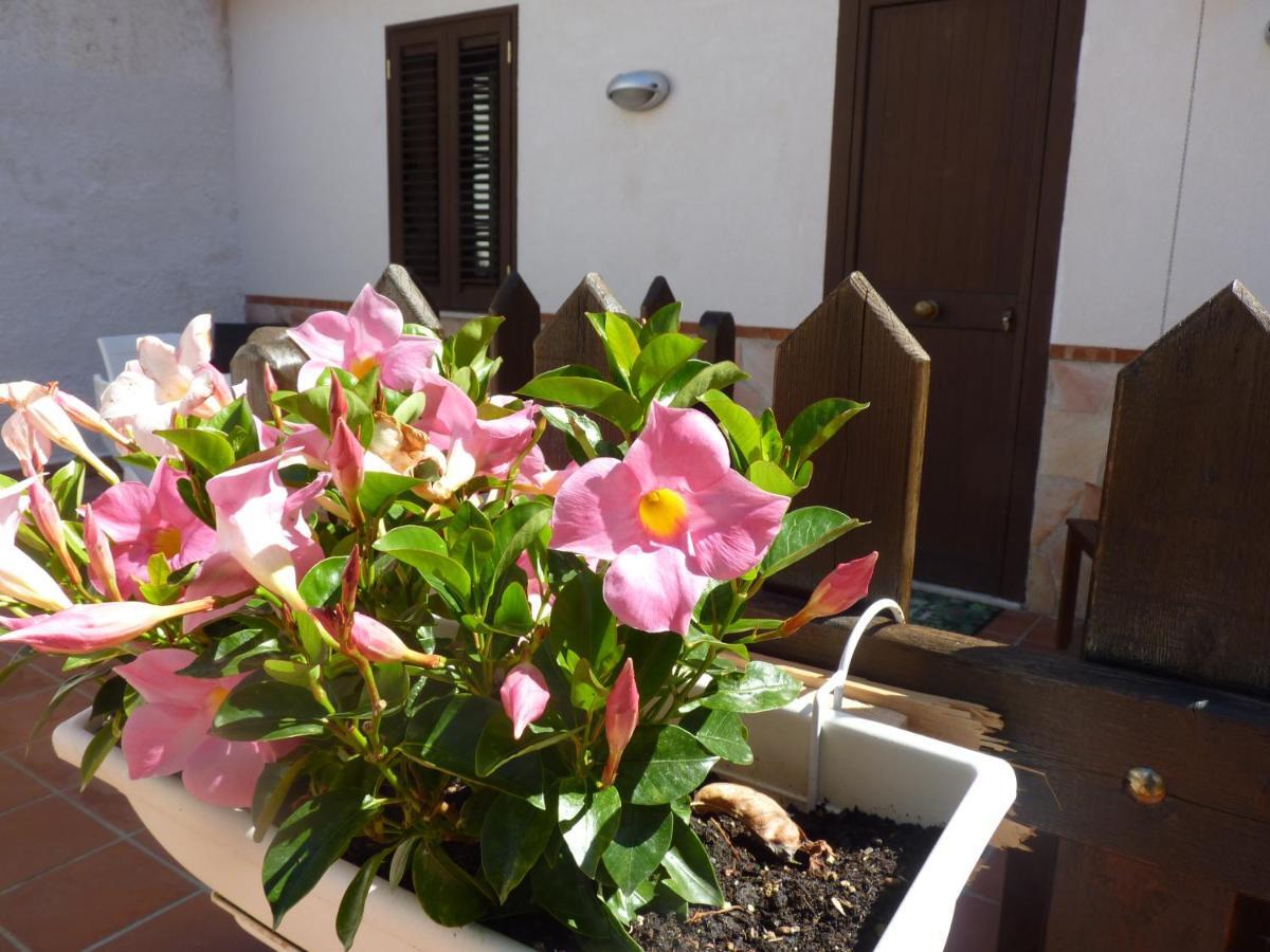 Villa Rosa Luxury Apartment Mondello Zewnętrze zdjęcie